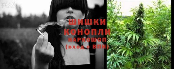 винт Дмитриев