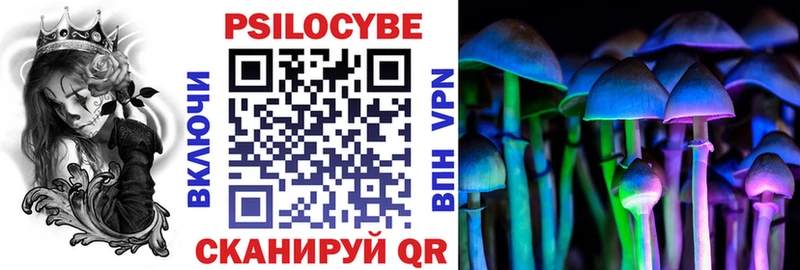 Купить где  Заинск  Галлюциногенные грибы Magic Shrooms 