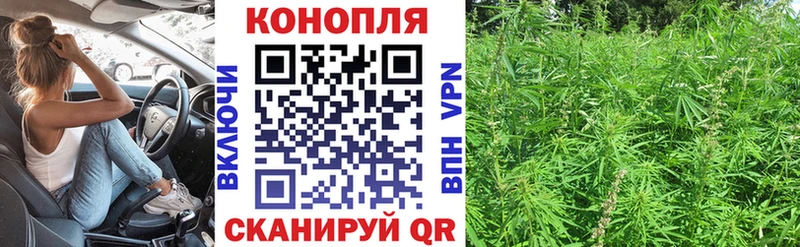 Бошки Шишки планчик  Купить где  Заинск 